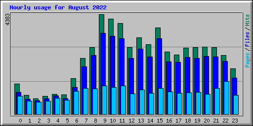 Hourly usage for August 2022